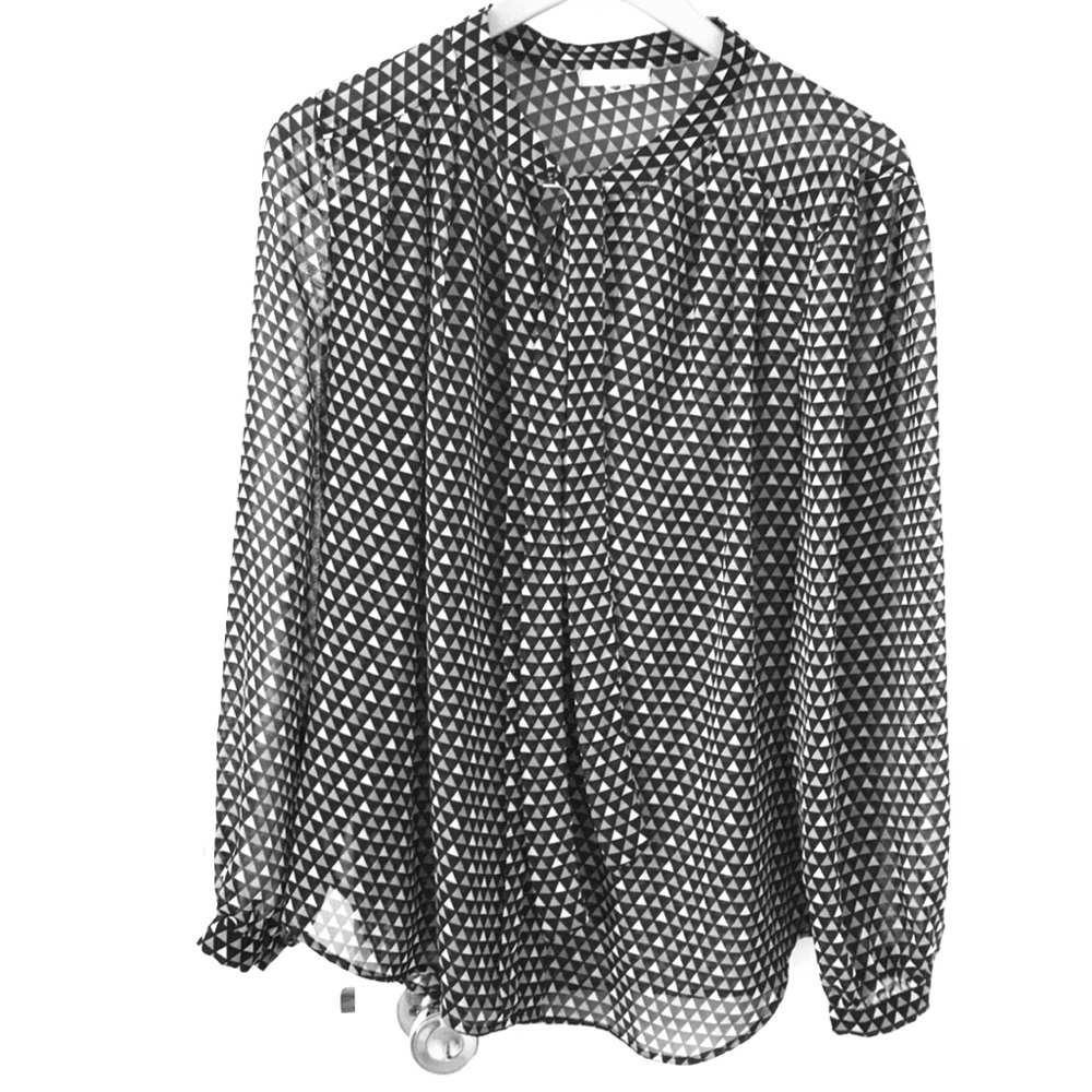 Pleione Sheer Tie Front Blouse